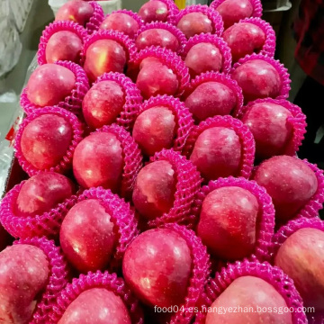 Manzanas frescas de alta calidad